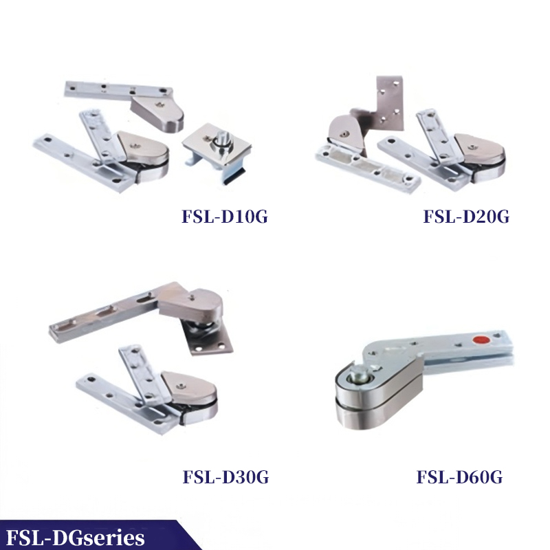 FSL-DG series