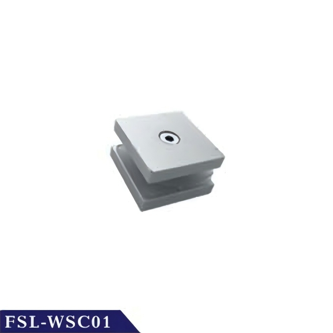 FSL-WSC01